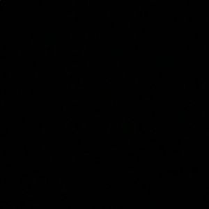 Meet your Posher, Cody